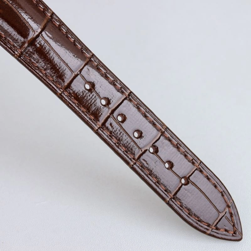Tailored PATEK PHILIPPE Watches 196156
