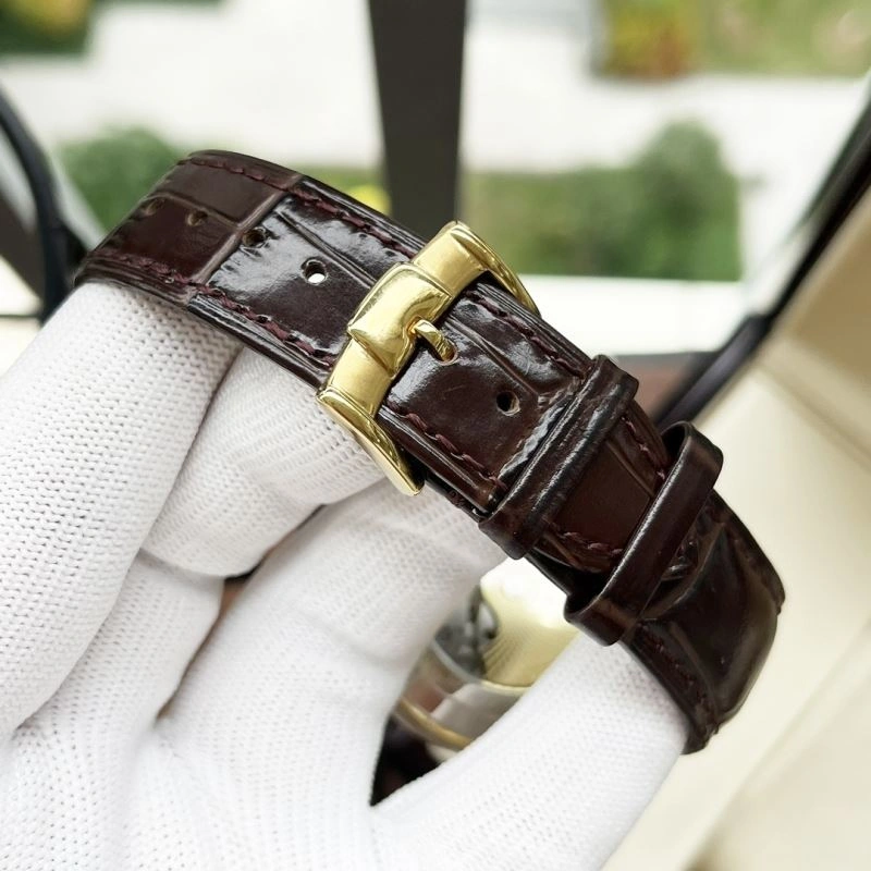 Attractive PATEK PHILIPPE Watches 196164
