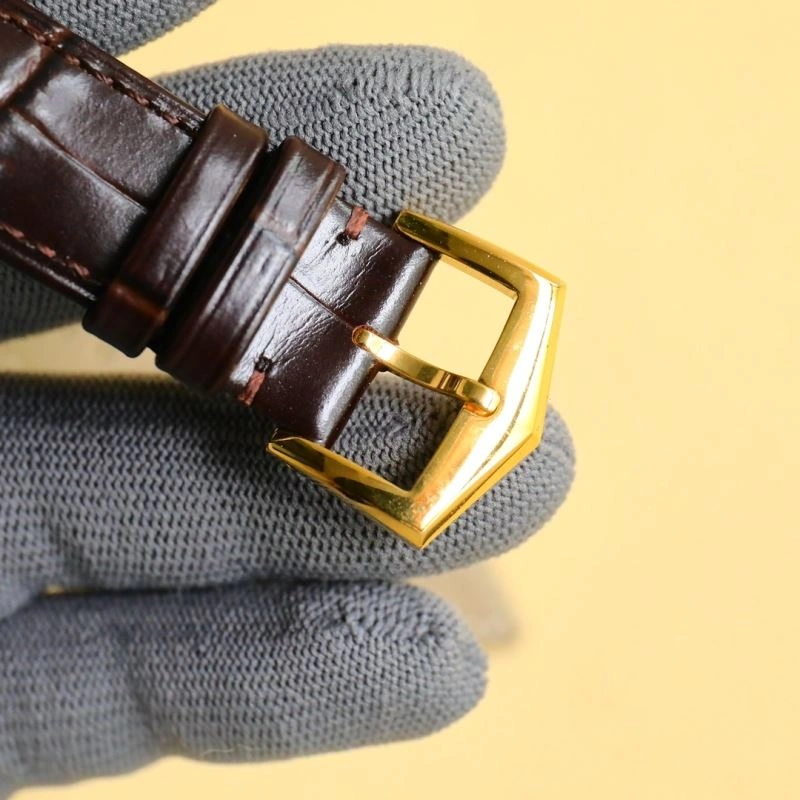 QuickDry PATEK PHILIPPE Watches 196097