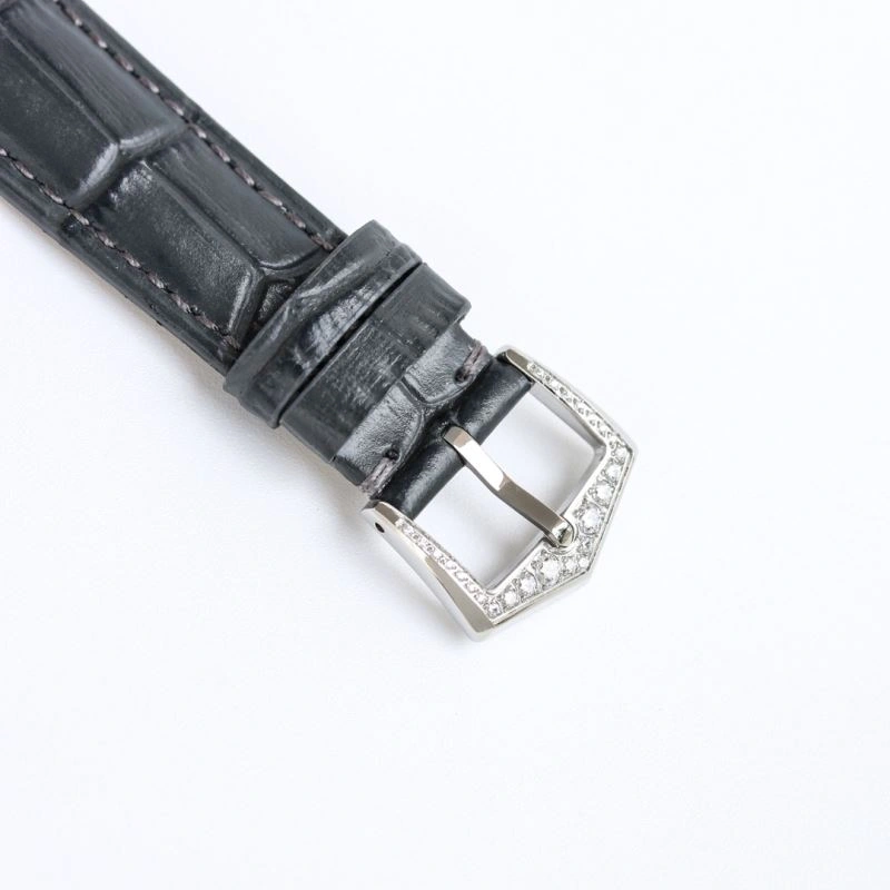 Vibrant PATEK PHILIPPE Watches 195962