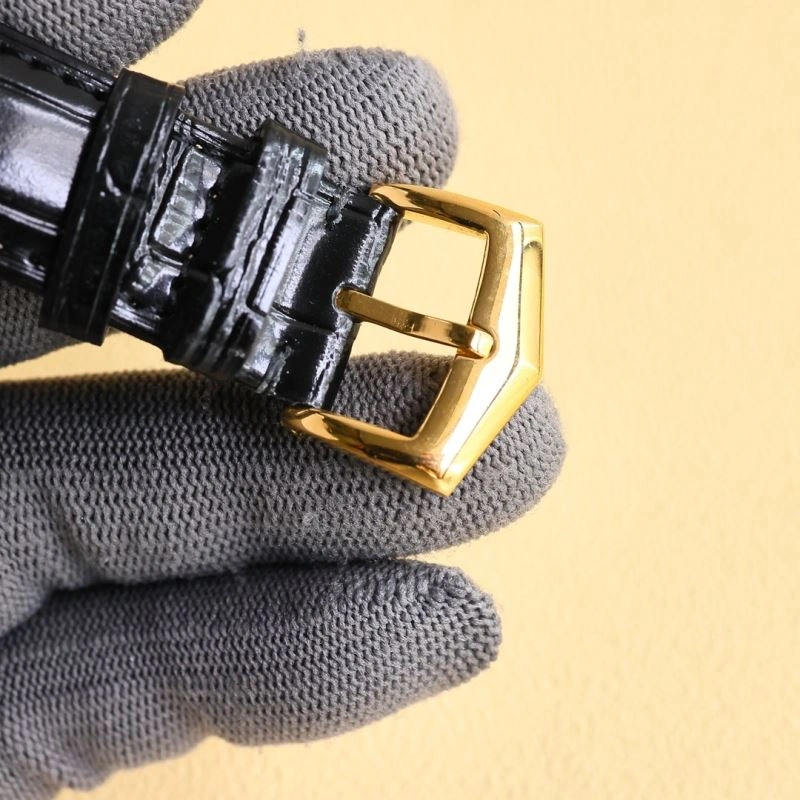 Sophisticated PATEK PHILIPPE Watches 195321