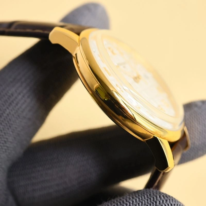WeatherProof PATEK PHILIPPE Watches 195316