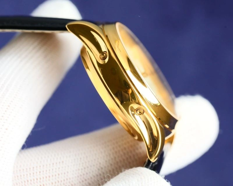 WeatherProof PATEK PHILIPPE Watches 195303