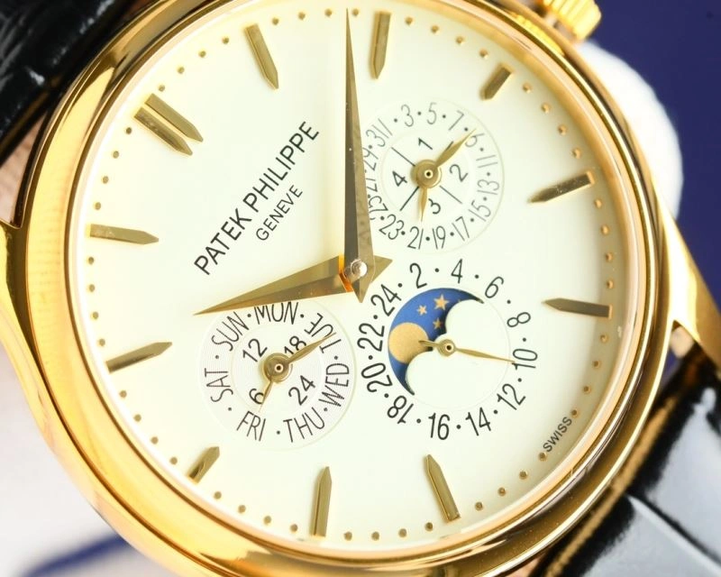 WeatherProof PATEK PHILIPPE Watches 195303