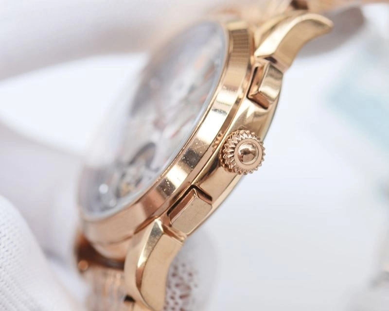 Youthful PATEK PHILIPPE Watches 195276