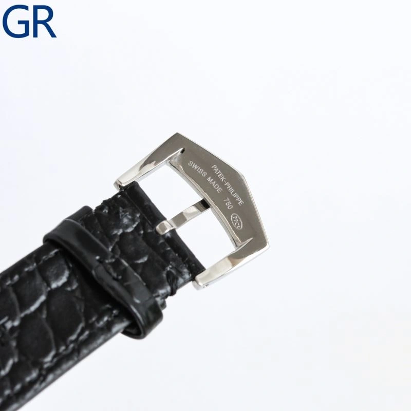 GoAnywhere PATEK PHILIPPE Watches 195240