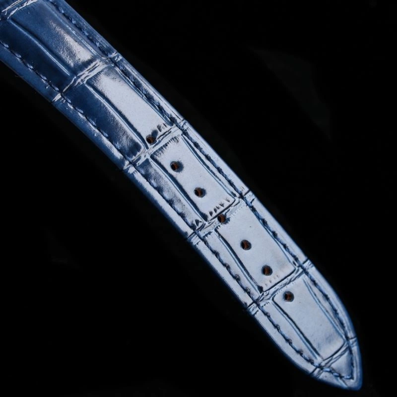 Chic PATEK PHILIPPE Watches 195120