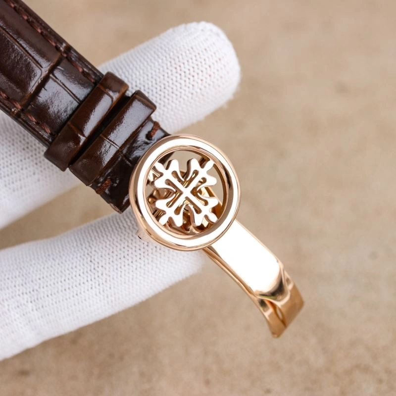 Vibrant PATEK PHILIPPE Watches 195113