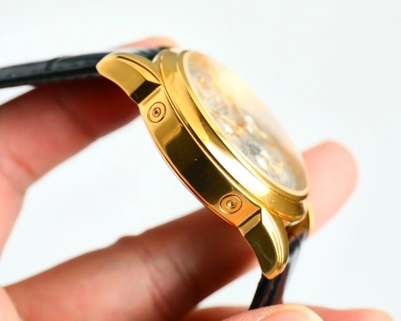 Flexible PATEK PHILIPPE Watches 195116