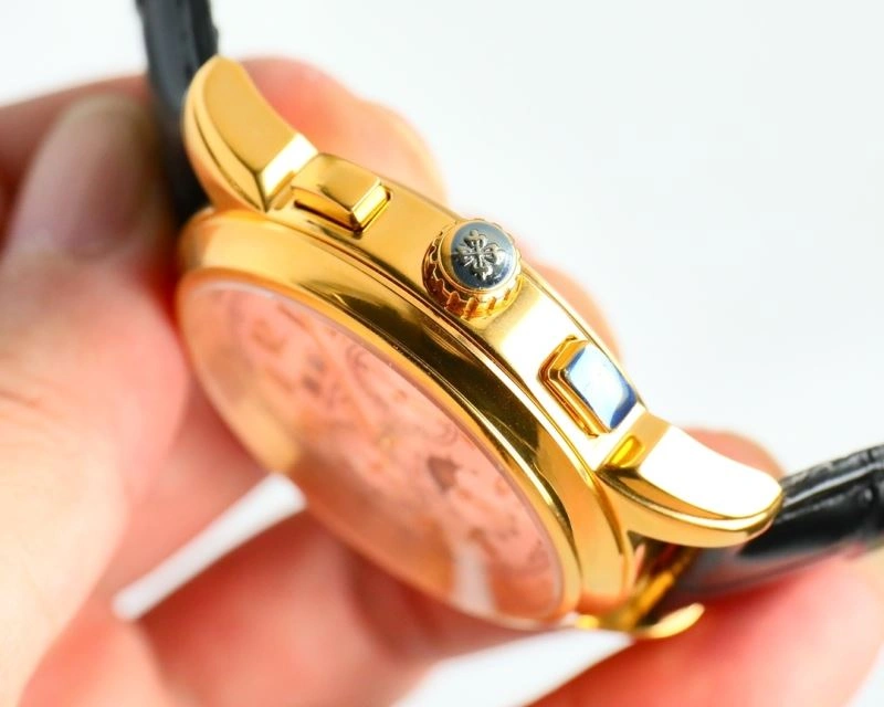 Flexible PATEK PHILIPPE Watches 195116