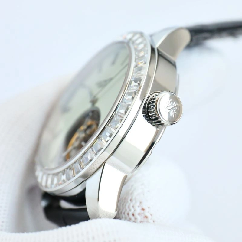 Seasonal PATEK PHILIPPE Watches 194797
