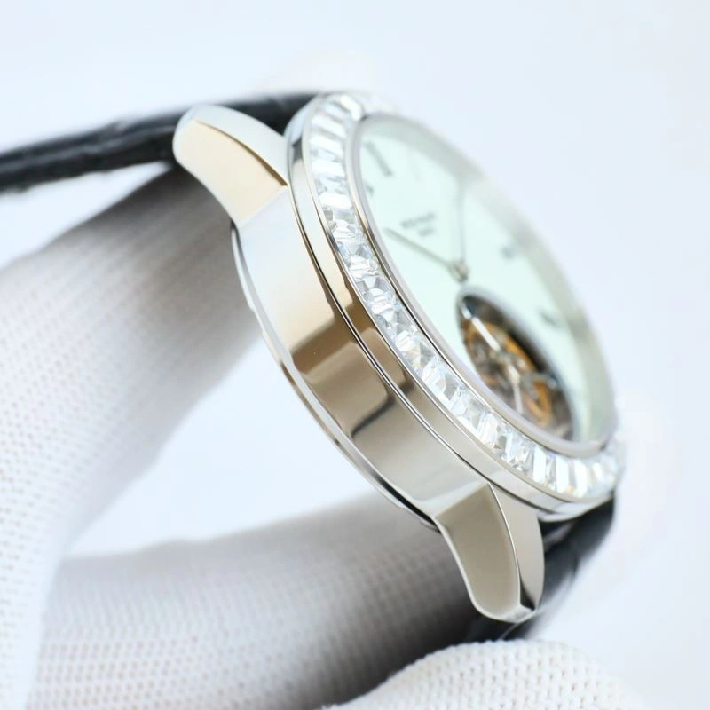 Seasonal PATEK PHILIPPE Watches 194797