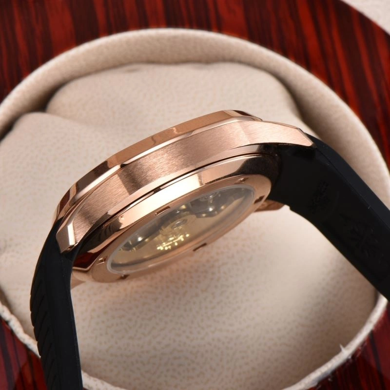PATEK PHILIPPE Watches SmoothTexture 194465