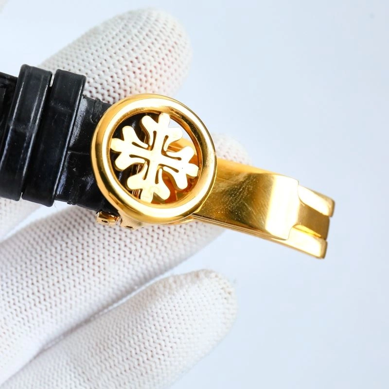 PATEK PHILIPPE Watches EasyCare 194454
