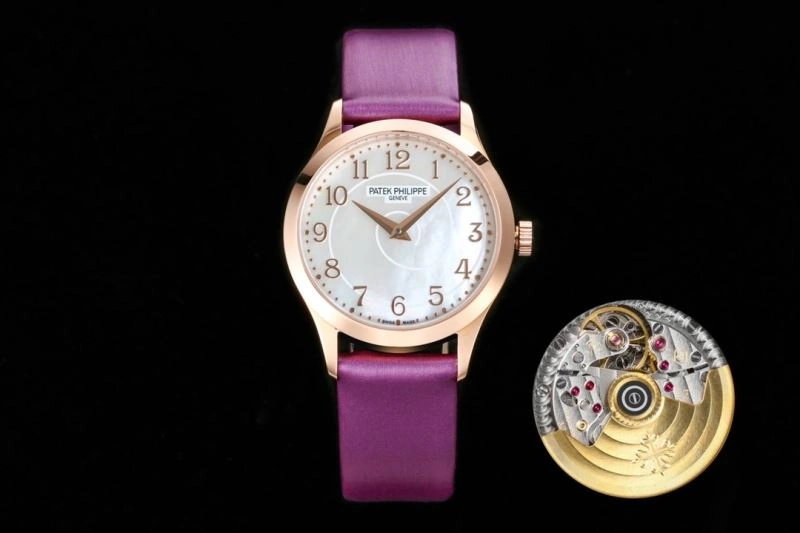 PATEK PHILIPPE Watches TechFriendly 195516