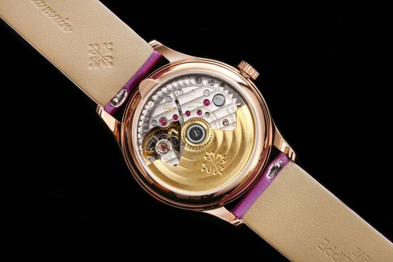 PATEK PHILIPPE Watches TechFriendly 195516