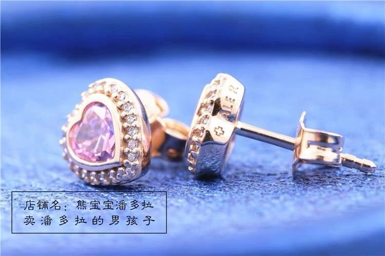 Neat Pandora Earrings 251799