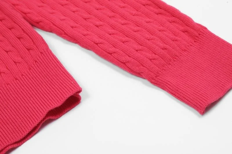 Polo Sweaters EyeCatching 163459