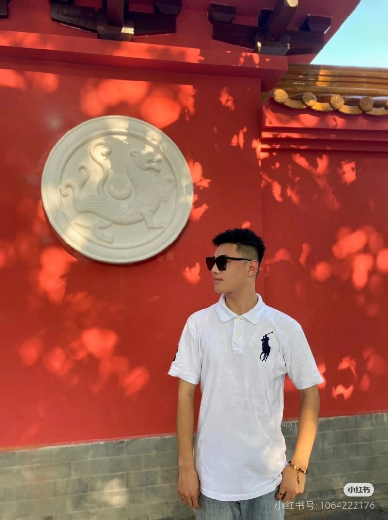 Polo T-Shirts Trendsetting 162529