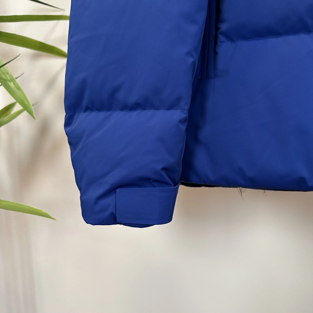 WellDesigned Prada Down Jackets 172379