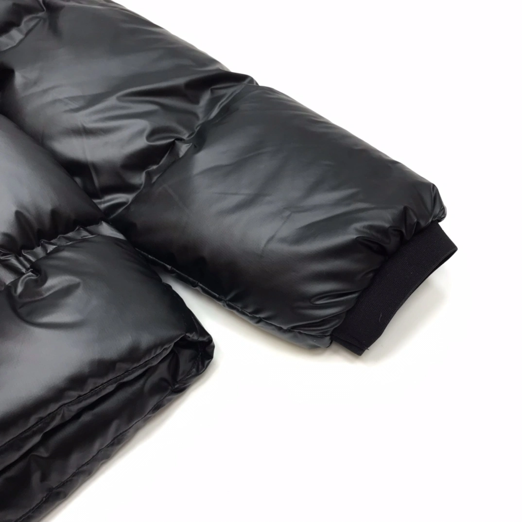 Prada Down Jackets Compact 172380