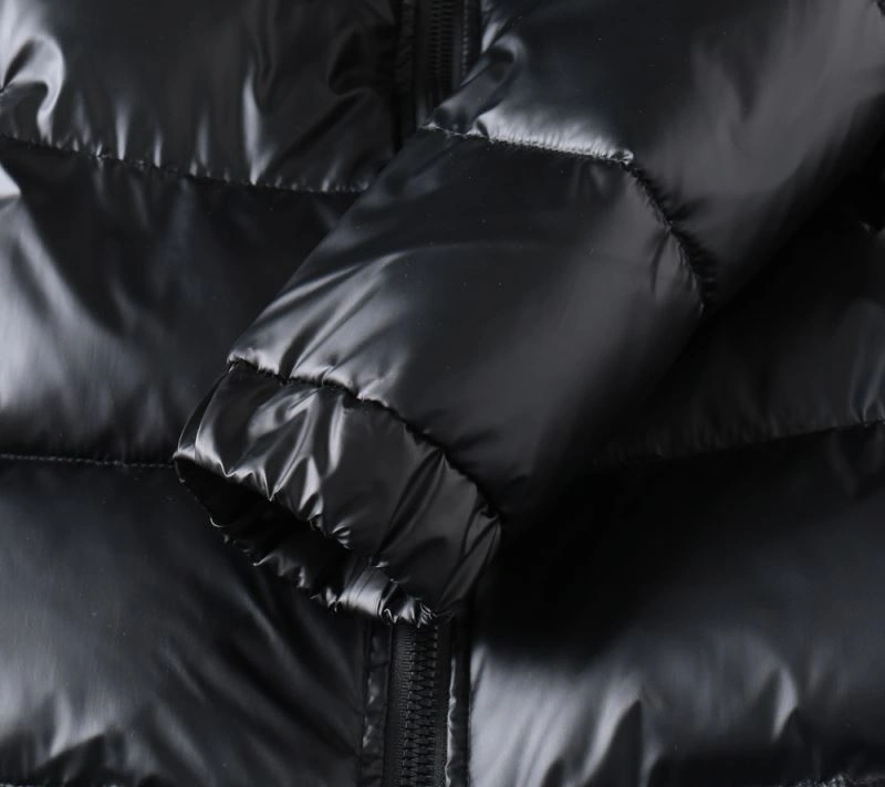Functional Prada Down Jackets 172009