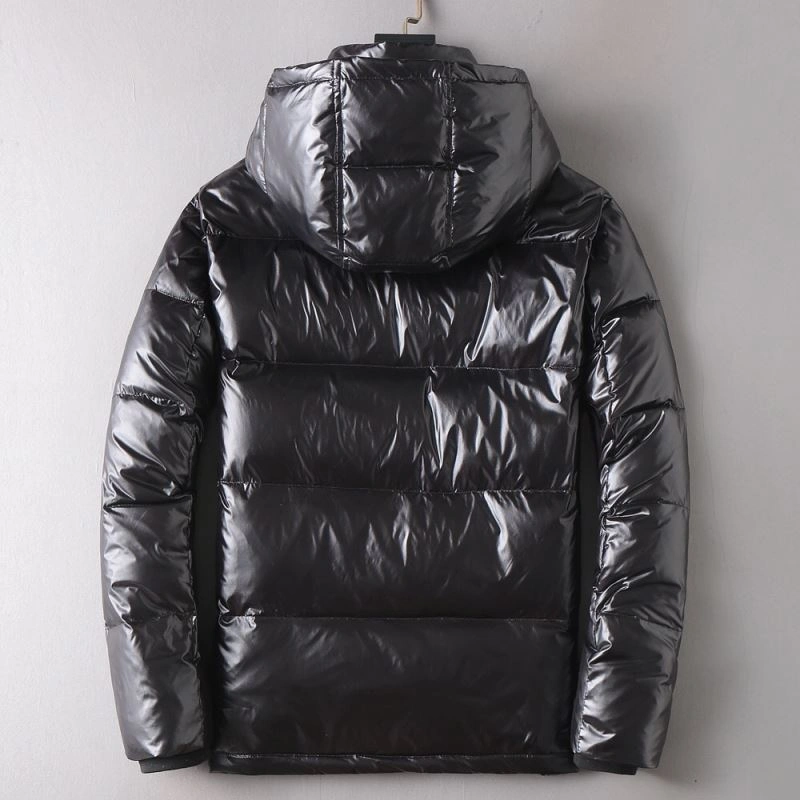 Efficient Prada Down Jackets 171930