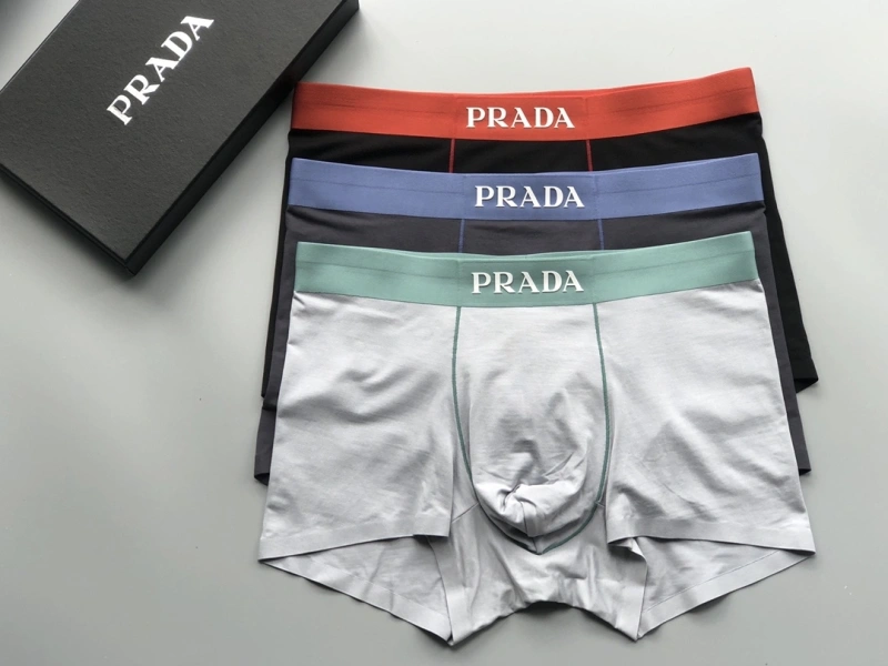 EyeCatching Prada Underwear 276729