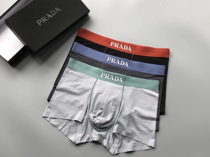 EyeCatching Prada Underwear 276729