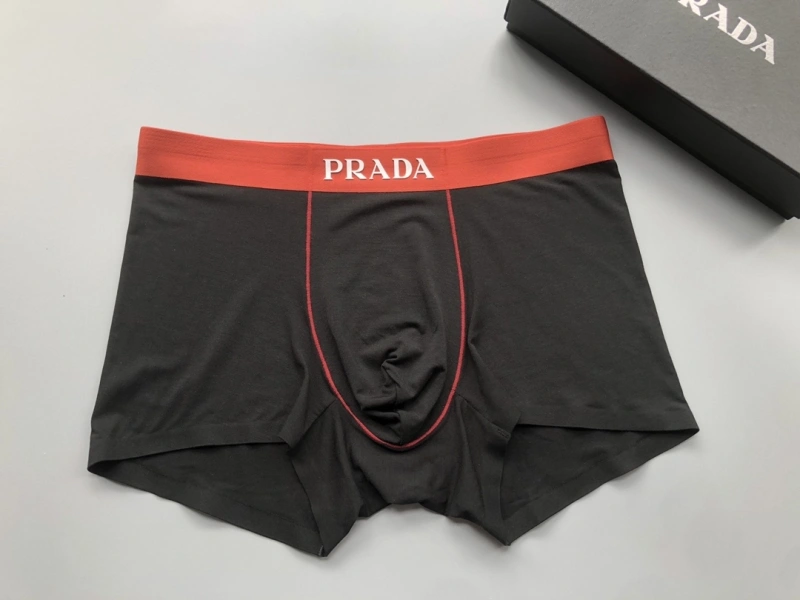 EyeCatching Prada Underwear 276729