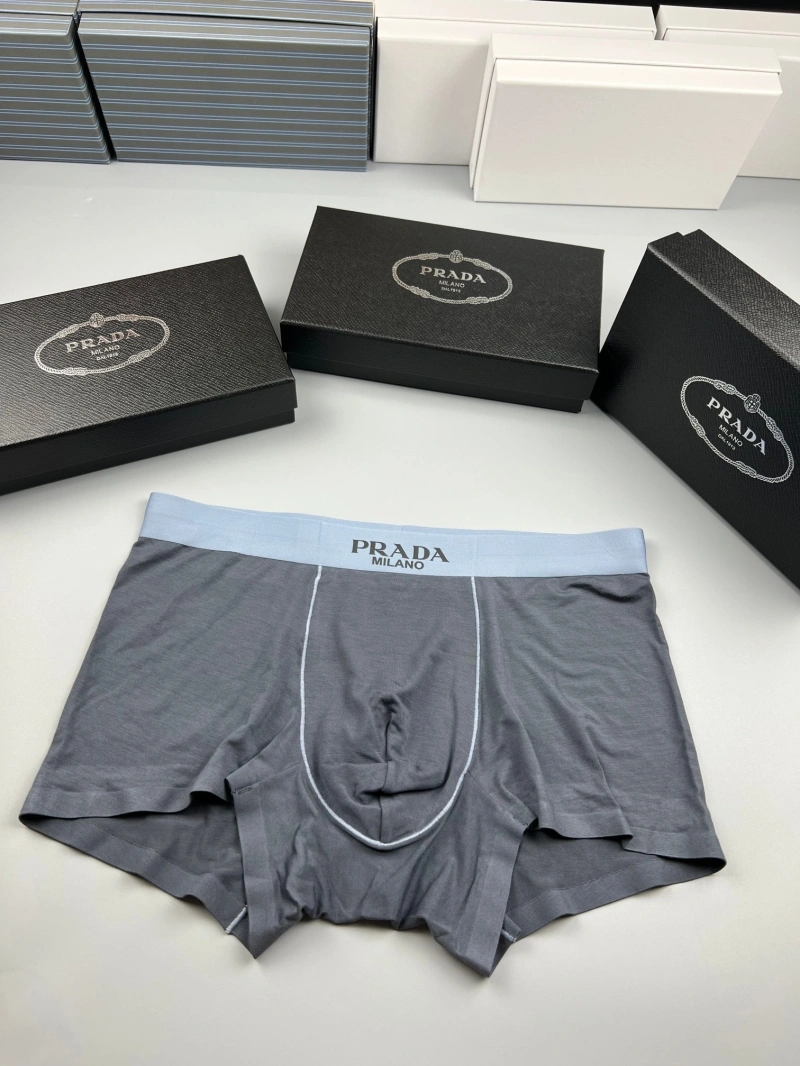Functional Prada Underwear 276724