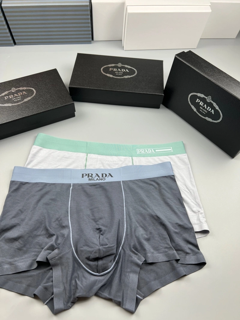Functional Prada Underwear 276724