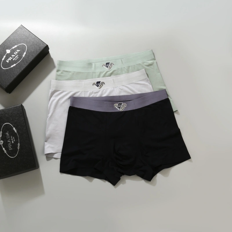 WellDesigned Prada Underwear 276616