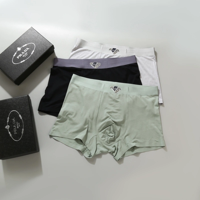 WellDesigned Prada Underwear 276616