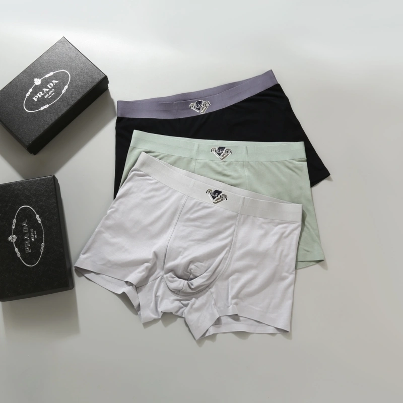 WellDesigned Prada Underwear 276616