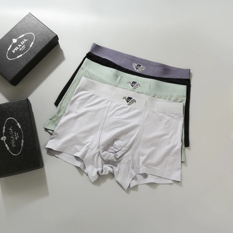 WellDesigned Prada Underwear 276616