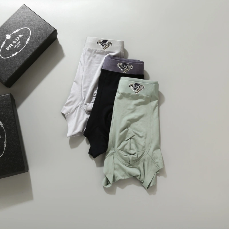 WellDesigned Prada Underwear 276616