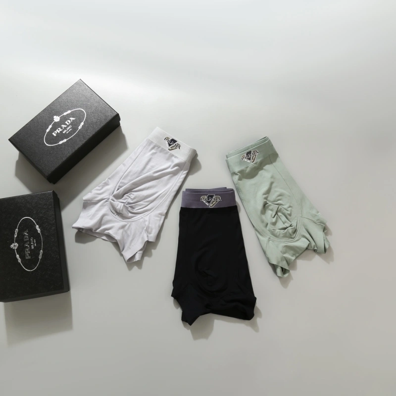 WellDesigned Prada Underwear 276616