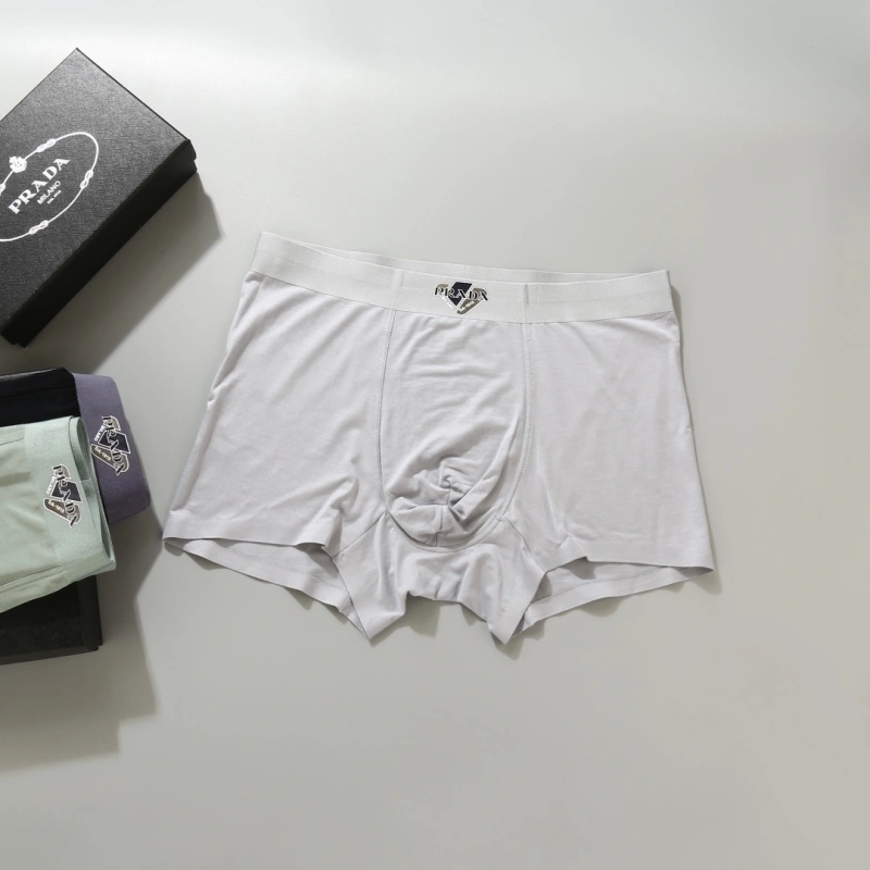 WellDesigned Prada Underwear 276616