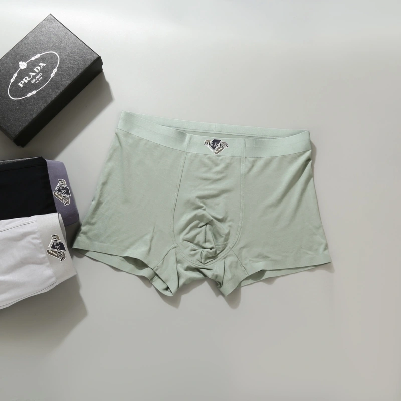 WellDesigned Prada Underwear 276616