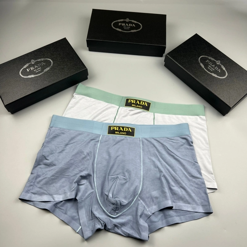 Practical Prada Underwear 276608