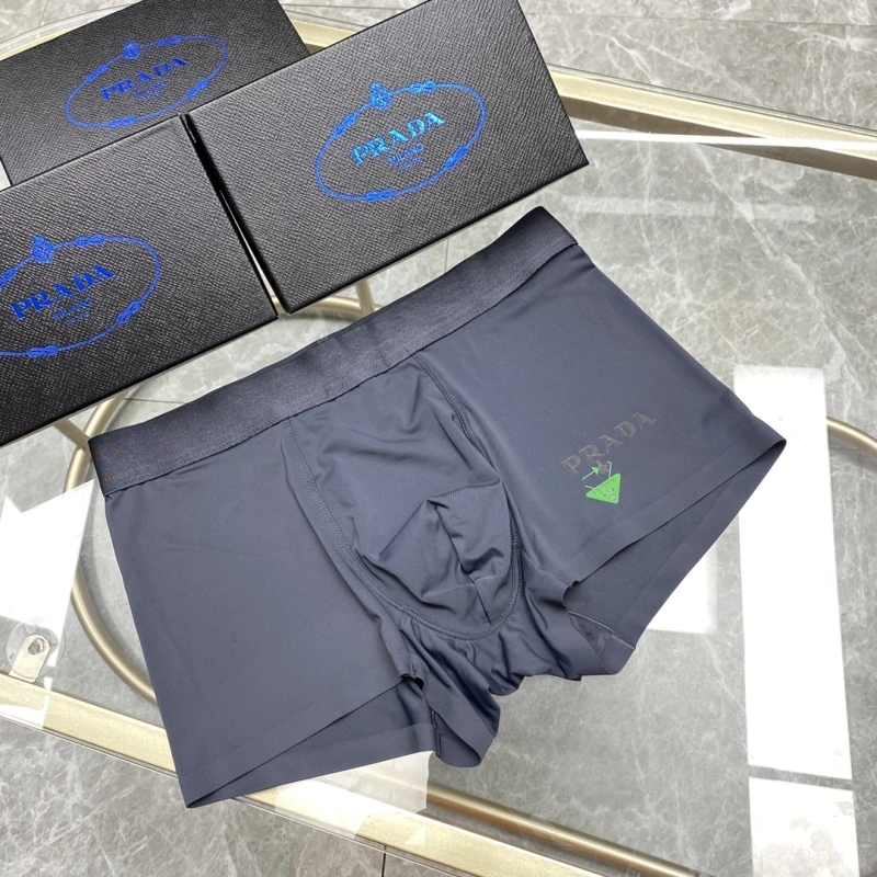 Packable Prada Underwear 276237