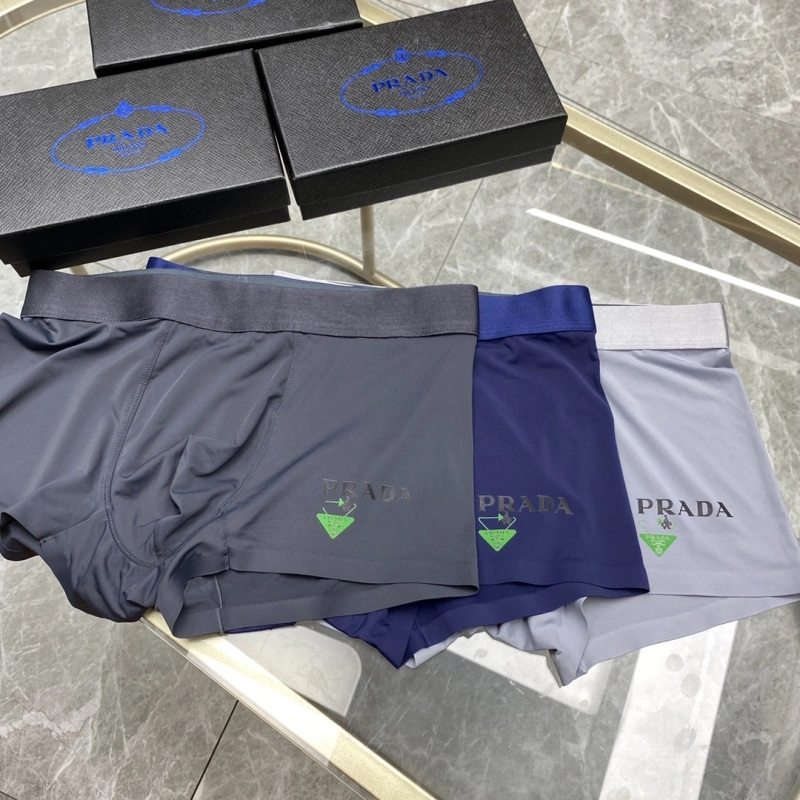 Packable Prada Underwear 276237