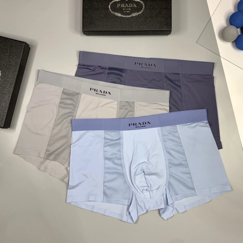 Practical Prada Underwear 276235