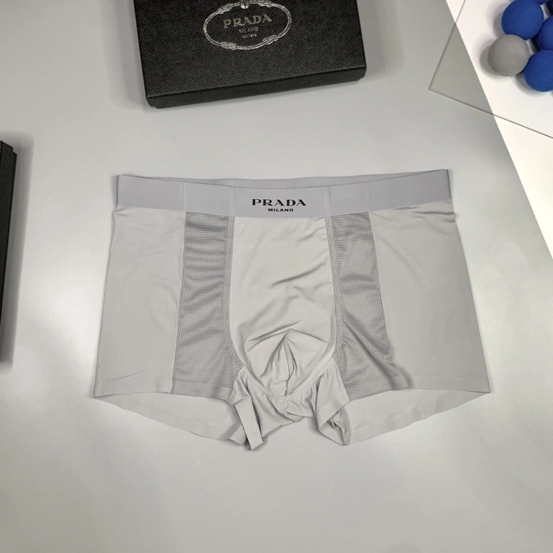 Practical Prada Underwear 276235