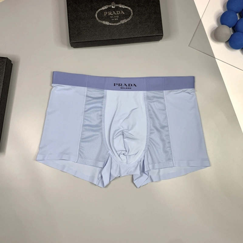 Practical Prada Underwear 276235