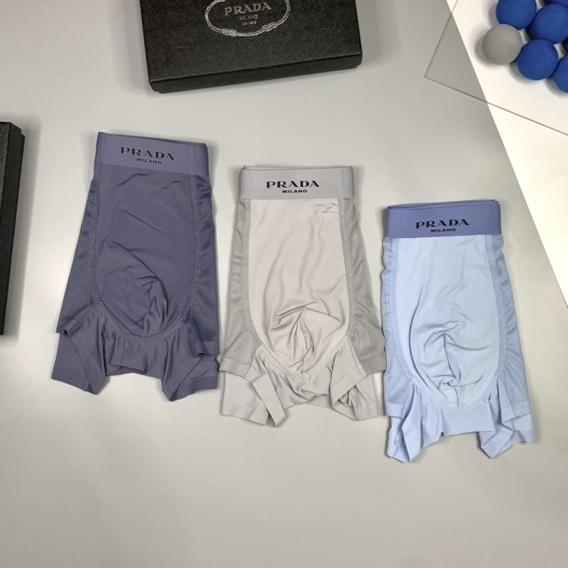 Practical Prada Underwear 276235