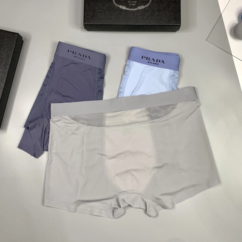 Practical Prada Underwear 276235