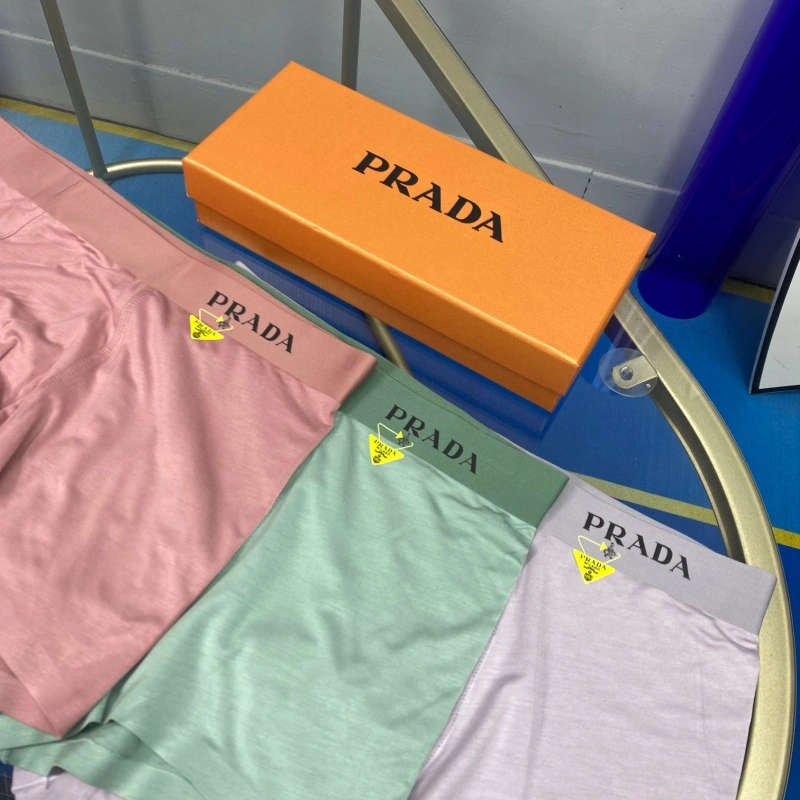 Prada Underwear ZipUp 276221