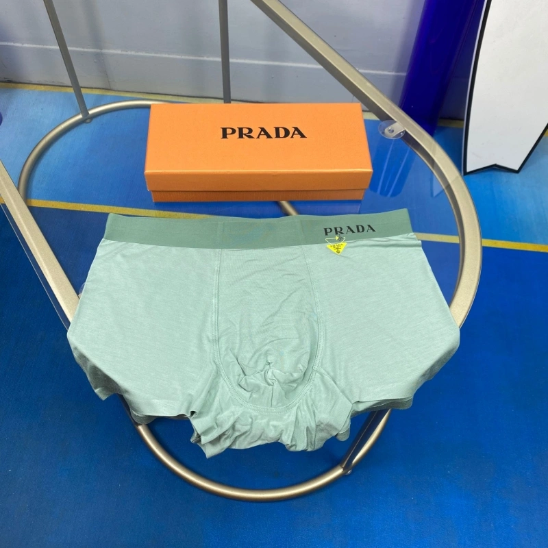 Prada Underwear ZipUp 276221